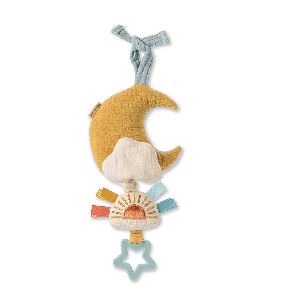 Musical Pull-down Toy Cloud/sun