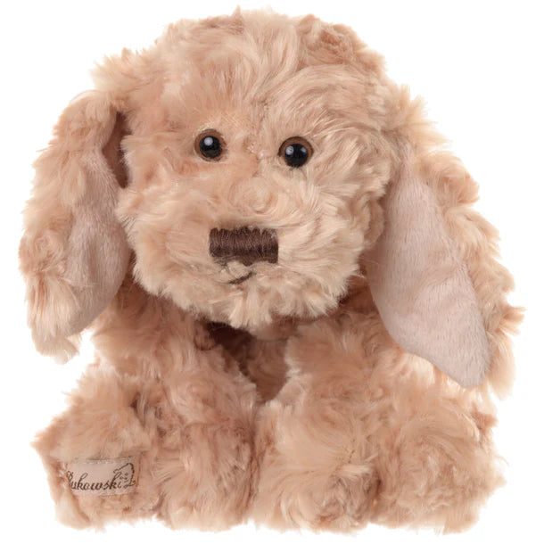 Fluffy golden puppy