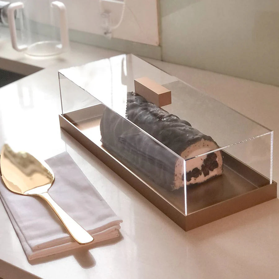 Lucite Tray with gold base and handle - large