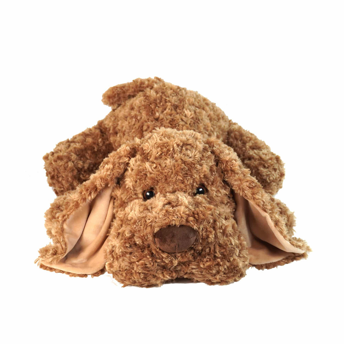 Manfred, chien brun et duveteux