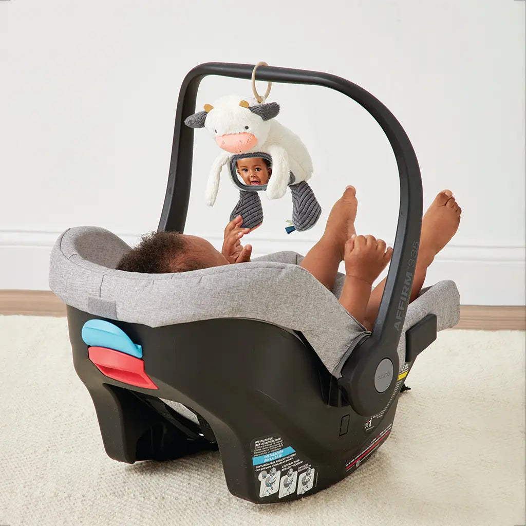 Miroir sensoriel pour vache qui marche sur le ventre