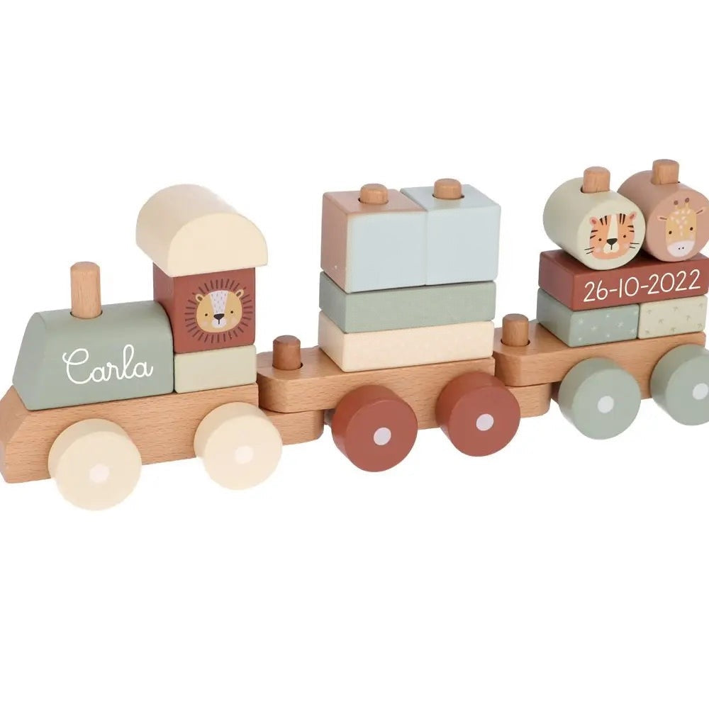 Personalized Zoo Sage Birth Train