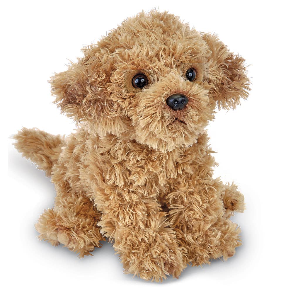Doodles le Labradoodle