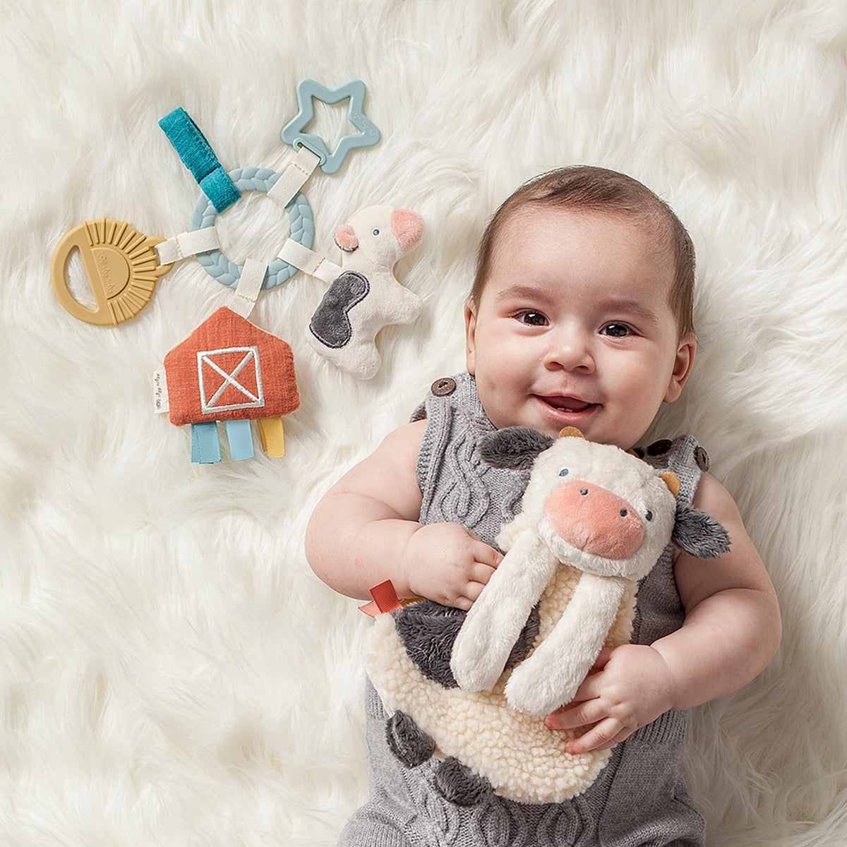 Lovey and teether farm Gift Set