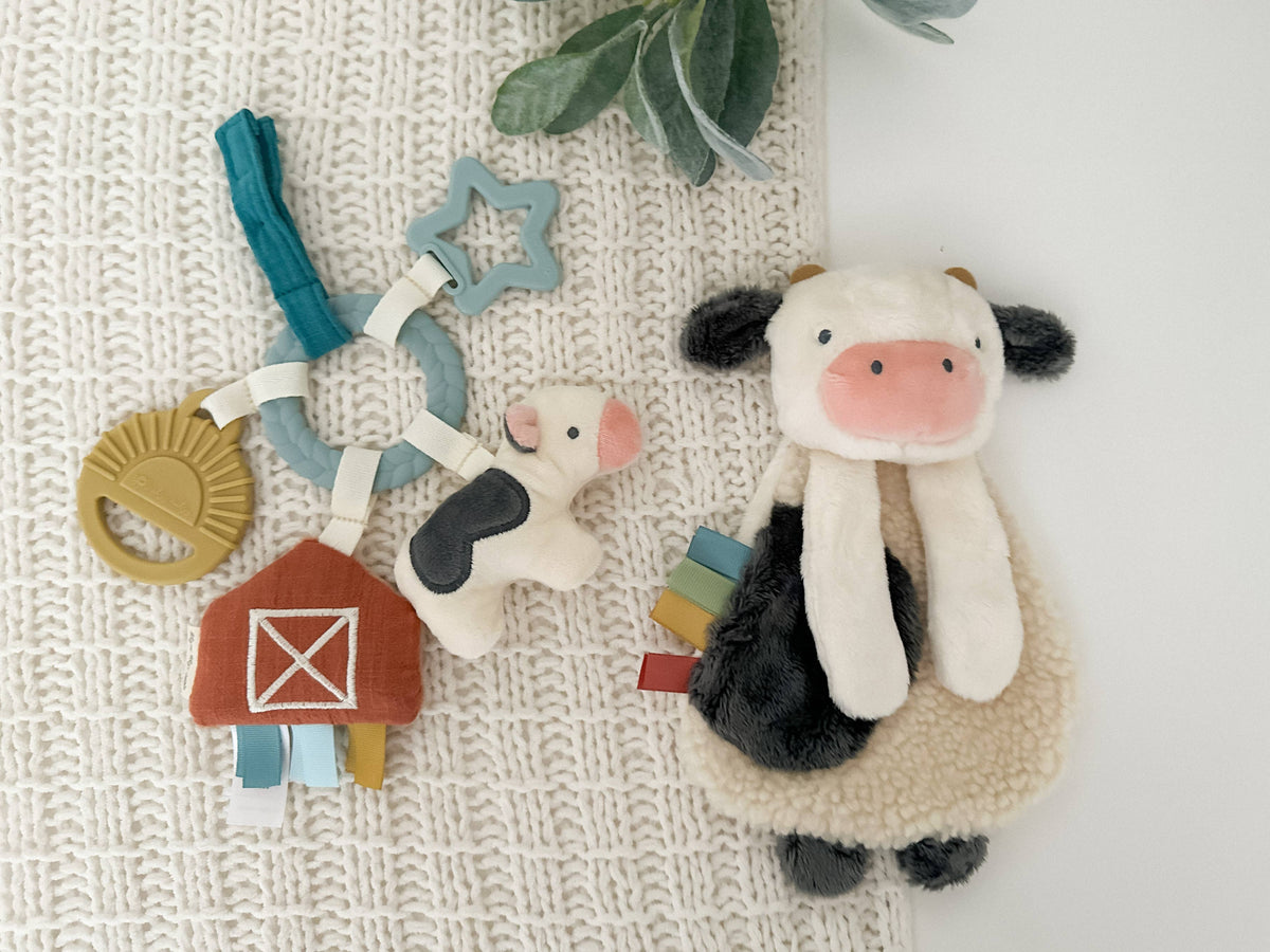 Lovey and teether farm Gift Set