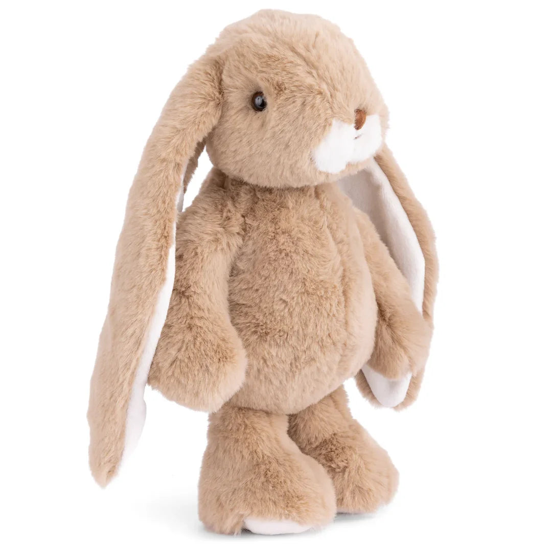 Friendly taupe bunny