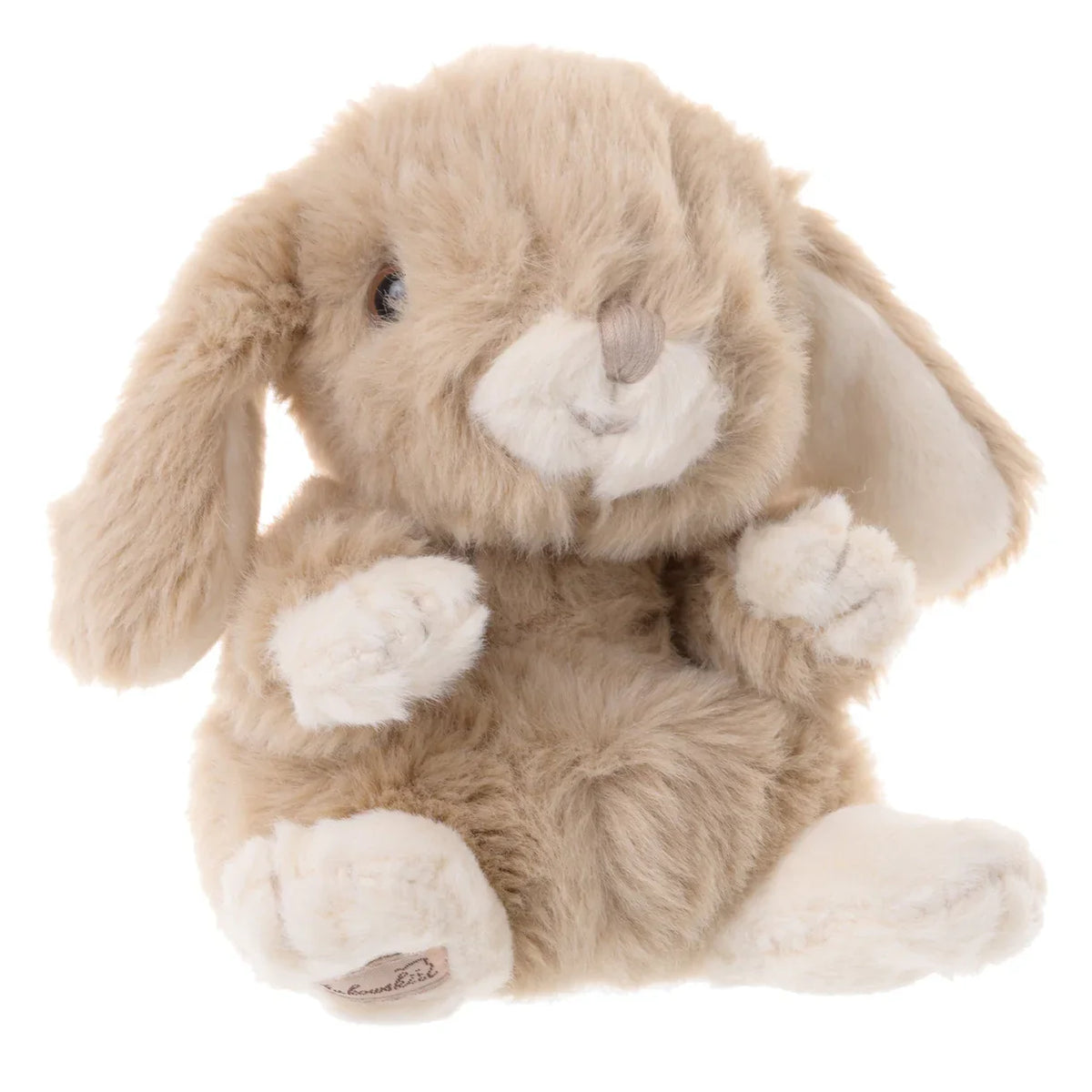 Mini taupe bunny