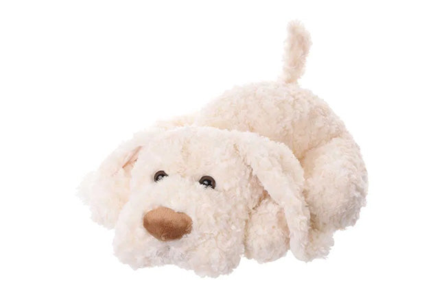 Hugo, chien blanc et duveteux