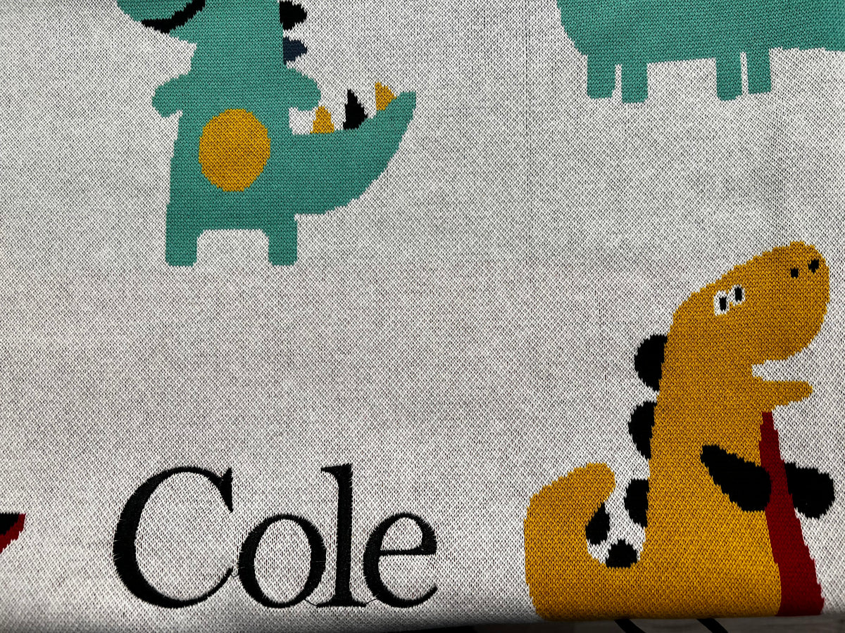 Couverture personnalisée pour bébé avec dinosaures