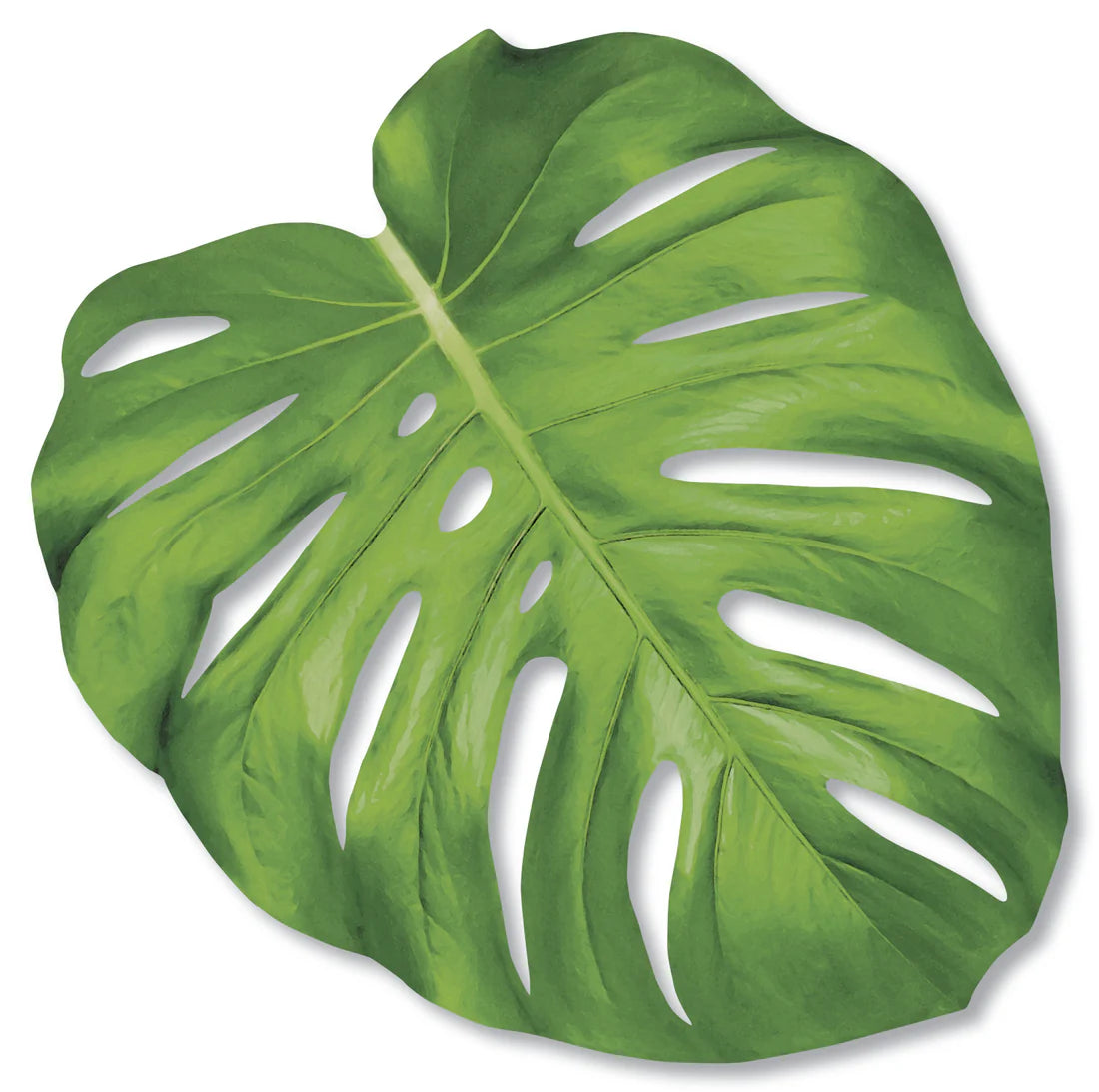 Set de table Monstera découpé